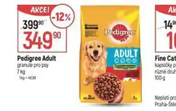 Globus Pedigree adult granule pro psy nabídka