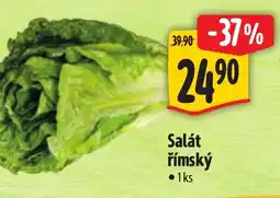 Albert Salát římský nabídka