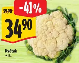 Albert Květák nabídka