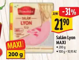 Albert Salám Lyon MAXI nabídka