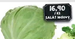 Jip Salát ledový nabídka