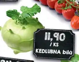 Jip Kedlubna bílá nabídka