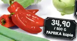 Jip Paprika kapie nabídka