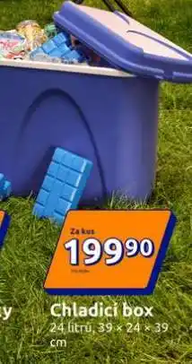 Action Chladicí box nabídka