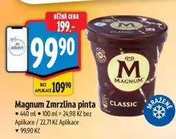 Albert Magnum Zmrzlina pinta nabídka