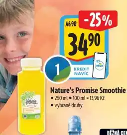Albert Nature’s Promise Smoothie nabídka
