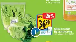 Albert Nature‘s Promise Bio Salát little gem nabídka