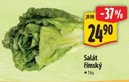 Albert Salát římský nabídka