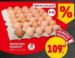 Penny Market ČERSTVÁ VEJCE nabídka