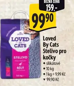Albert Loved By Cats Stelivo pro kočky nabídka