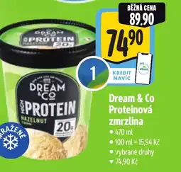 Albert Dream & Co Proteinová zmrzlina nabídka