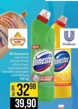 Jip Domestos nabídka