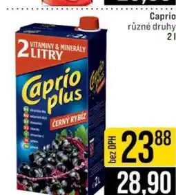 Jip Caprio plus nabídka
