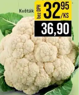 Jip Květák nabídka
