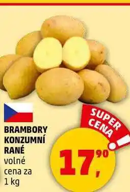 Penny Market BRAMBORY KONZUMNÍ RANÉ, 1 kg nabídka