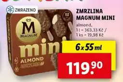 Lidl Zmrzlina Magnum Mini nabídka