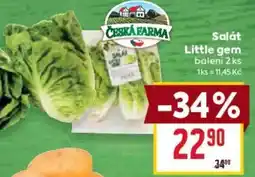 Billa Salát Little gem nabídka