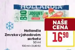 Billa Hollandia Zmrzka vjahodovém sorbetu nabídka