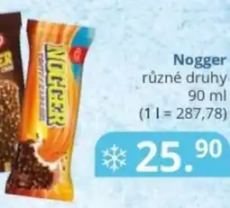 Potraviny CZ Nogger nabídka