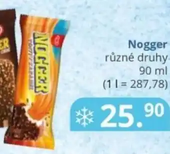 Potraviny CZ Nogger nabídka