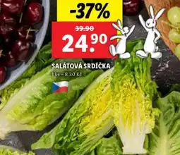 Lidl SALÁTOVÁ SRDÍČKA nabídka