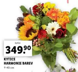 Lidl KYTICE HARMONIE BAREV nabídka