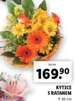 Lidl KYTICE S RATANEM nabídka