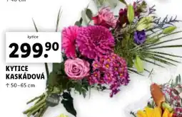 Lidl KYTICE KASKÁDOVÁ nabídka