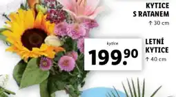 Lidl LETNÍ KYTICE nabídka
