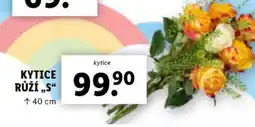 Lidl Kytice růží 'S' nabídka