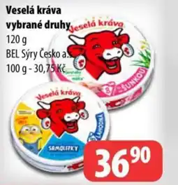 Partner Maloobchodní síť Veselá kráva vybrané druhy nabídka