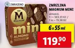 Lidl ZMRZLINA MAGNUM MINI, 6x 55 ml nabídka