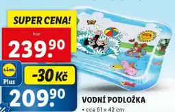 Lidl VODNÍ PODLOŽKA nabídka