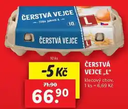 Lidl ČERSTVÁ VEJCE ,,L“ klecový chov, 10 ks nabídka