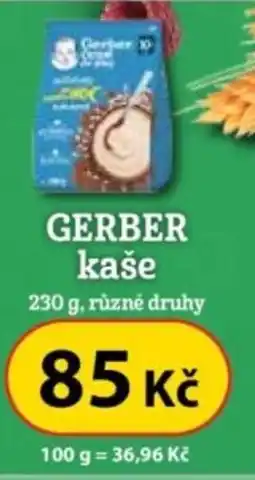 Dr. Max GERBER kaše nabídka