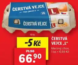 Lidl ČERSTVÁ VEJCE ,,L“ klecový chov, 10 ks nabídka
