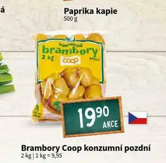 Terno Brambory coop konzumní pozdní nabídka