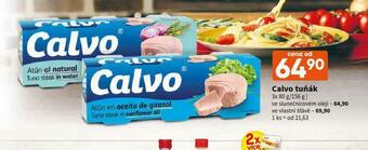 Calvo tuňák