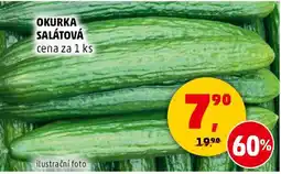 Penny Market OKURKA SALÁTOVÁ nabídka