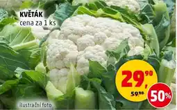 Penny Market Květák nabídka