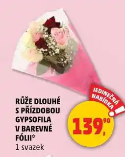 Penny Market Růže dlouhé s přízdobou gypsofila v barevné fólii nabídka