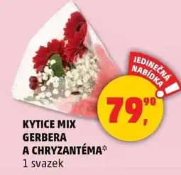Penny Market Kytice Mix Gerbera a Chryzantéma nabídka