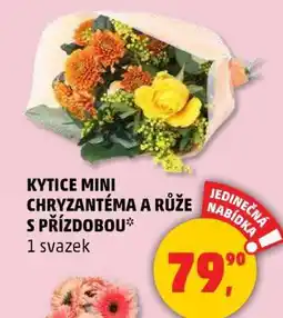 Penny Market Kytice Mini Chryzantéma a Růže s přízdobou nabídka