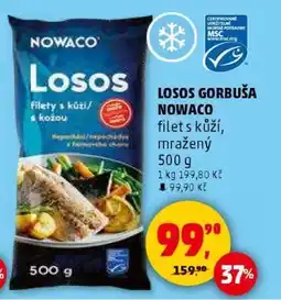 Penny Market LOSOS GORBUŠA NOWACO nabídka