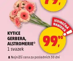 Penny Market Kytice Gerbera, Alstromerie nabídka