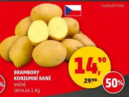 Penny Market Brambory konzumní rané nabídka