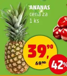 Penny Market Ananas nabídka