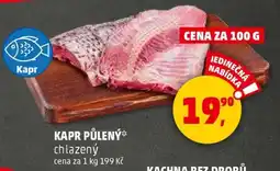 Kapr půlený