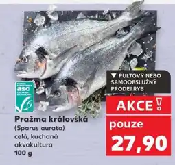Kaufland Pražma královská nabídka