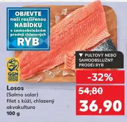 Kaufland Losos (Salmo salar) nabídka